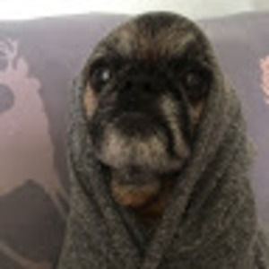 Meet your Posher, Mclinn